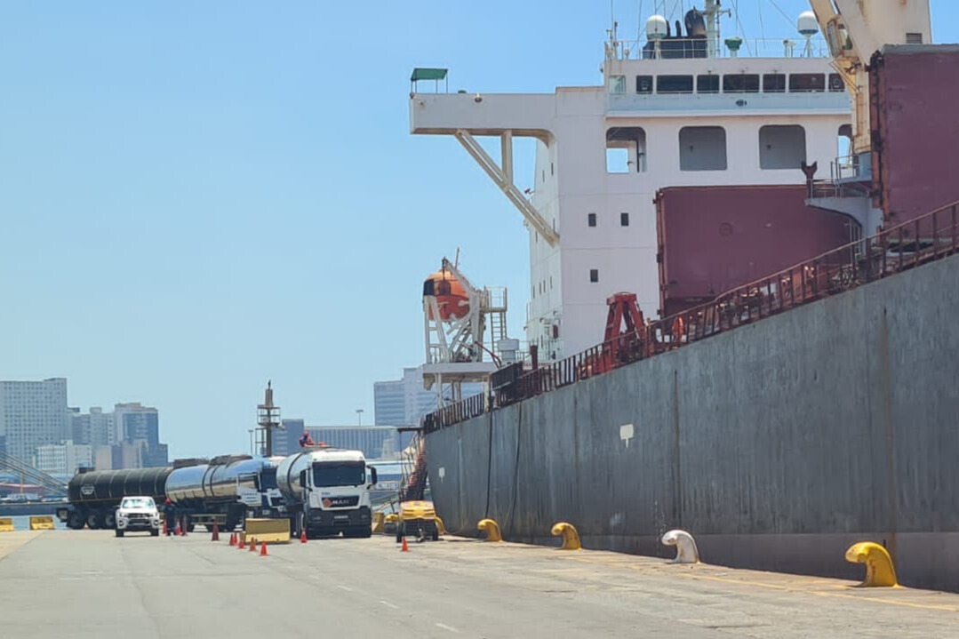 Bonjour Surveys Team at Work